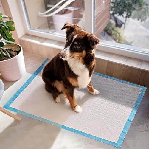 Tapete Entrenador Para Perro x 50und