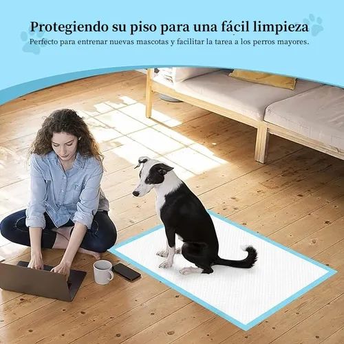 Tapete Entrenador Para Perro x 50und